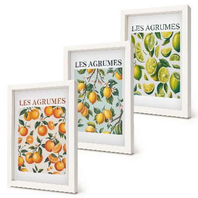 Juego de 3 cuadros decorativos Diseños cítricos afrutados en colores pastel.