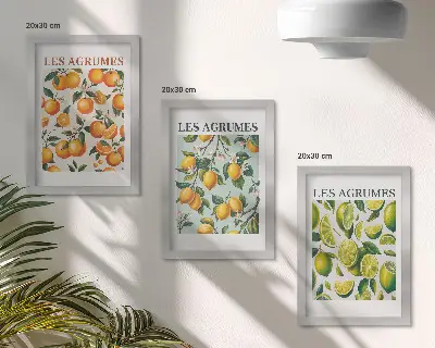 Juego de 3 cuadros decorativos con diseños de frutas cítricas en tonos pastel
