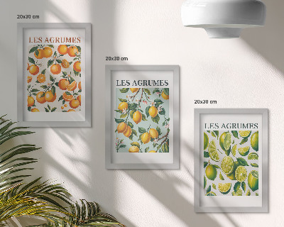 Juego de 3 cuadros decorativos Diseños cítricos afrutados en colores pastel.