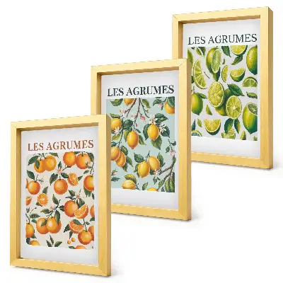 Juego de 3 cuadros decorativos con diseños de frutas cítricas en tonos pastel