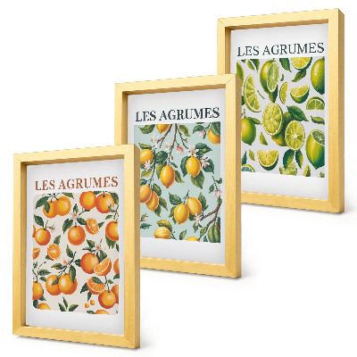 Juego de 3 cuadros decorativos Diseños cítricos afrutados en colores pastel.