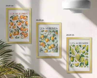 Juego de 3 cuadros decorativos con diseños de frutas cítricas en tonos pastel