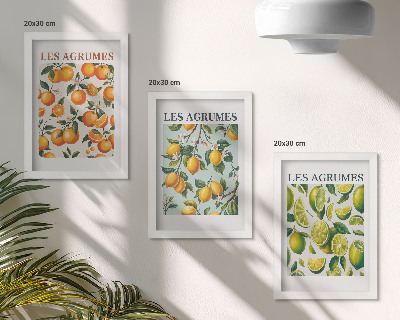 Juego de 3 cuadros decorativos Diseños cítricos afrutados en colores pastel.