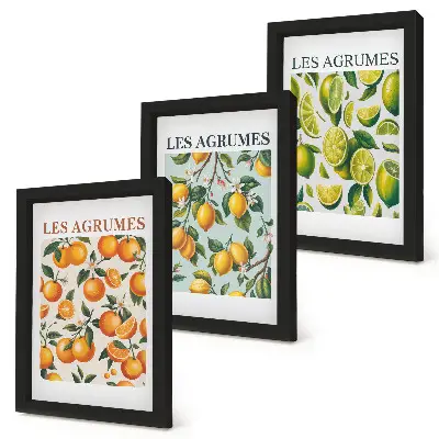 Juego de 3 cuadros decorativos con diseños de frutas cítricas en tonos pastel
