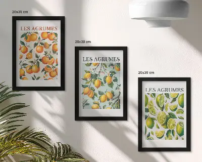 Juego de 3 cuadros decorativos con diseños de frutas cítricas en tonos pastel