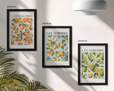 Juego de 3 cuadros decorativos Diseños cítricos afrutados en colores pastel.
