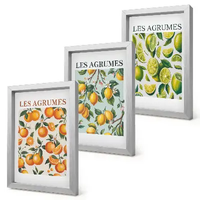 Juego de 3 cuadros decorativos con diseños de frutas cítricas en tonos pastel
