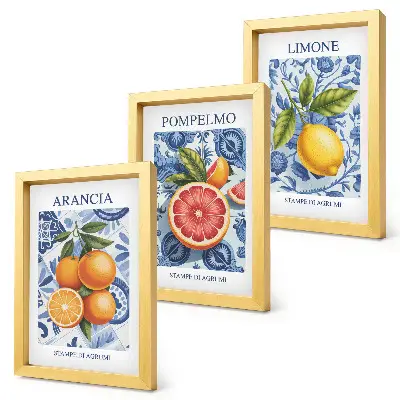 Juego de 3 cuadros decorativos con ilustraciones antiguas de cítricos