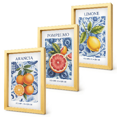 Juego de 3 cuadros decorativos Ilustraciones antiguas de cítricos