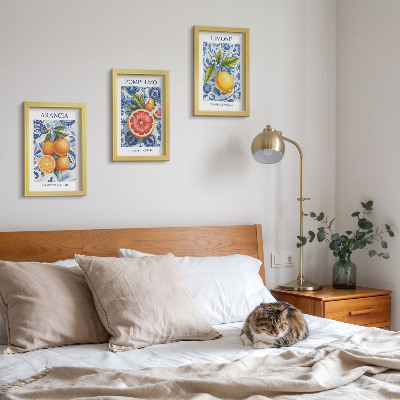 Juego de 3 cuadros decorativos Ilustraciones antiguas de cítricos