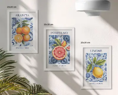 Juego de 3 cuadros decorativos con ilustraciones antiguas de cítricos