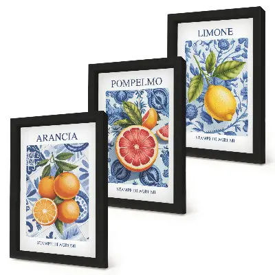 Juego de 3 cuadros decorativos con ilustraciones antiguas de cítricos