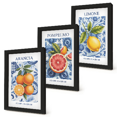 Juego de 3 cuadros decorativos Ilustraciones antiguas de cítricos