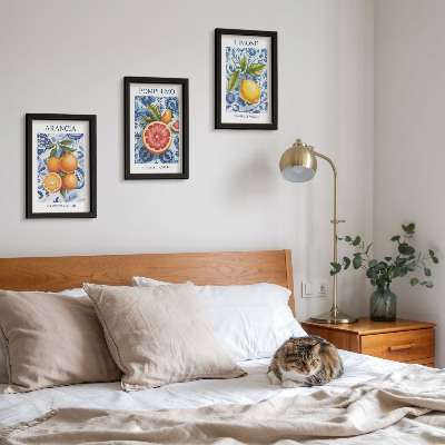 Juego de 3 cuadros decorativos Ilustraciones antiguas de cítricos
