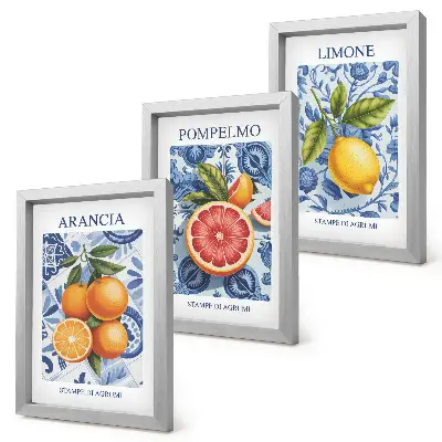 Juego de 3 cuadros decorativos con ilustraciones antiguas de cítricos