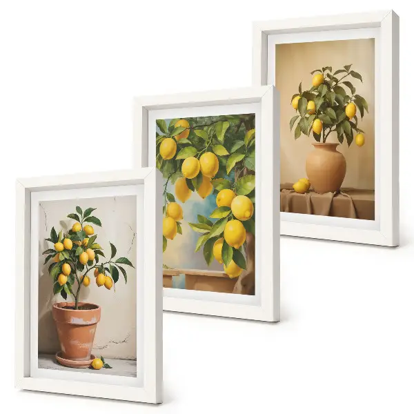 Juego de 3 cuadros decorativos de limoneros en macetas y jarrones