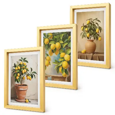Juego de 3 cuadros decorativos de limoneros en macetas y jarrones