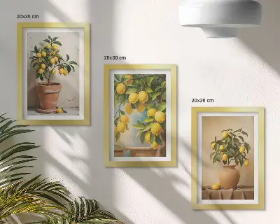 Juego de 3 cuadros decorativos de limoneros en macetas y jarrones