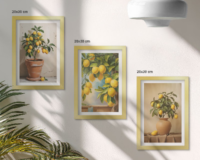 Juego de 3 cuadros decorativos Limoneros en macetas y jarrones