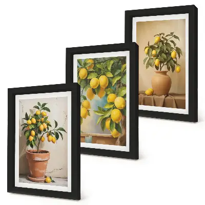 Juego de 3 cuadros decorativos de limoneros en macetas y jarrones