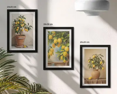 Juego de 3 cuadros decorativos de limoneros en macetas y jarrones