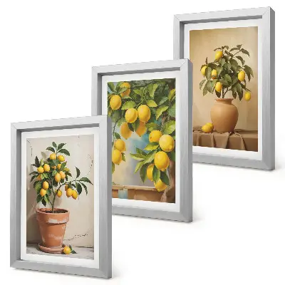 Juego de 3 cuadros decorativos de limoneros en macetas y jarrones