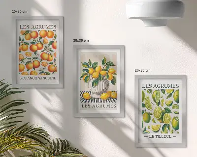 Tríptico enmarcado de frutas cítricas en diversas versiones coloridas y frescas
