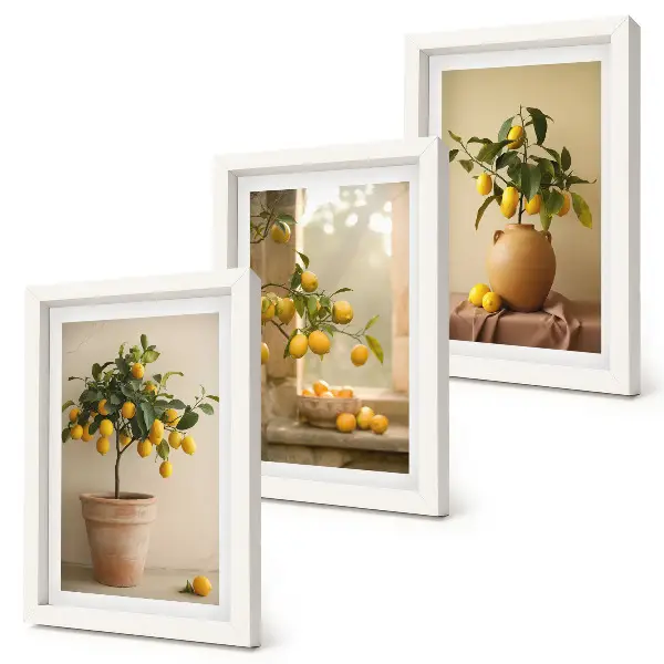 Juego de 3 cuadros decorativos de limoneros en macetas junto a una ventana