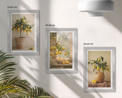 Juego de 3 cuadros decorativos Limoneros en macetas y en la ventana