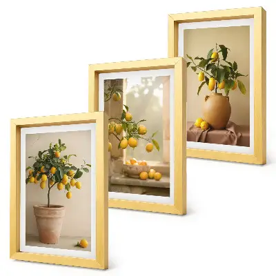 Juego de 3 cuadros decorativos de limoneros en macetas junto a una ventana