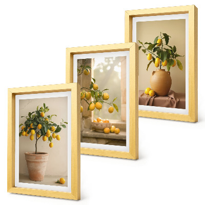 Juego de 3 cuadros decorativos Limoneros en macetas y en la ventana