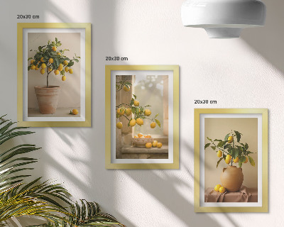 Juego de 3 cuadros decorativos Limoneros en macetas y en la ventana