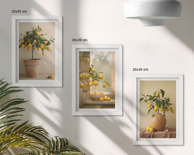 Juego de 3 cuadros decorativos Limoneros en macetas y en la ventana