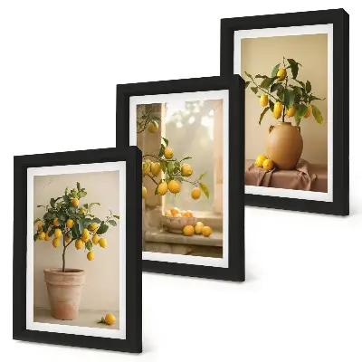 Juego de 3 cuadros decorativos de limoneros en macetas junto a una ventana