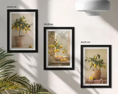 Juego de 3 cuadros decorativos de limoneros en macetas junto a una ventana