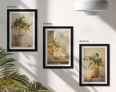 Juego de 3 cuadros decorativos Limoneros en macetas y en la ventana