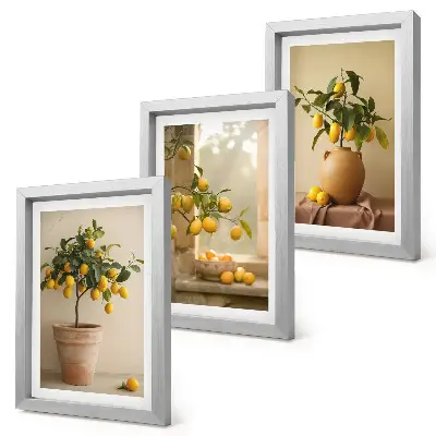 Juego de 3 cuadros decorativos de limoneros en macetas junto a una ventana
