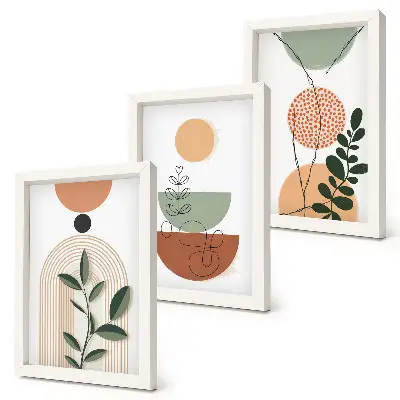 Juego de 3 cuadros decorativos con motivos de formas abstractas y vegetales coloridos