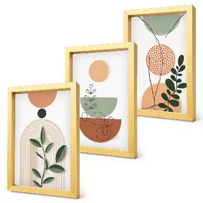 Juego de 3 cuadros decorativos con motivos de formas abstractas y vegetales coloridos
