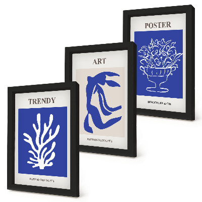 Juego de 3 cuadros decorativos Carteles de arte abstracto de Henri Matisse