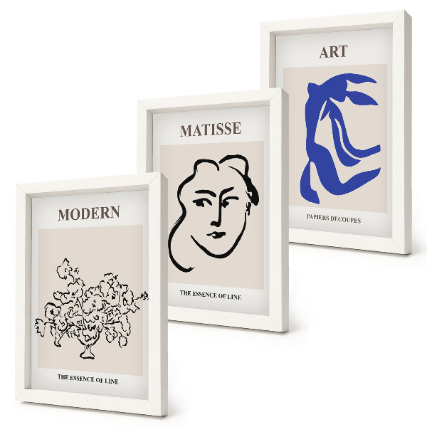 Juego de 3 cuadros decorativos Carteles abstractos al estilo minimalista de Henri Matisse.