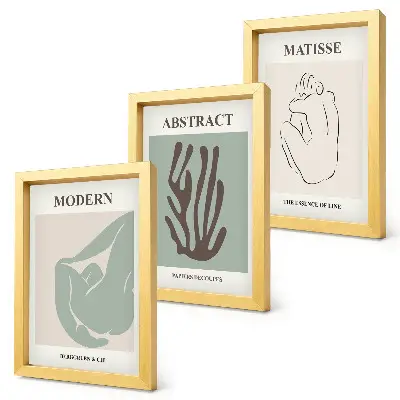 Juego de 3 cuadros decorativos con elegantes pinturas de motivos abstractos de Henri Matisse