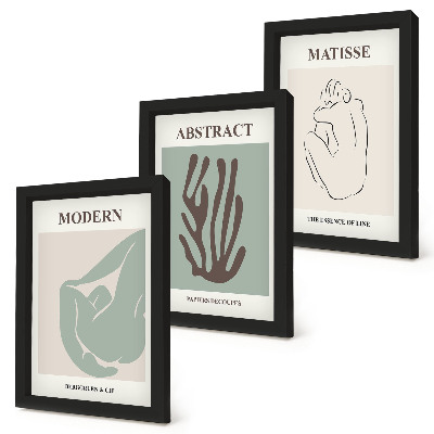 Juego de 3 cuadros decorativos Elegantes pinturas con motivos abstractos de Henri Matisse.
