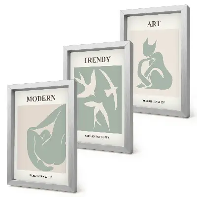 Juego de 3 cuadros decorativos con figuras abstractas de Henri Matisse en colores apagados