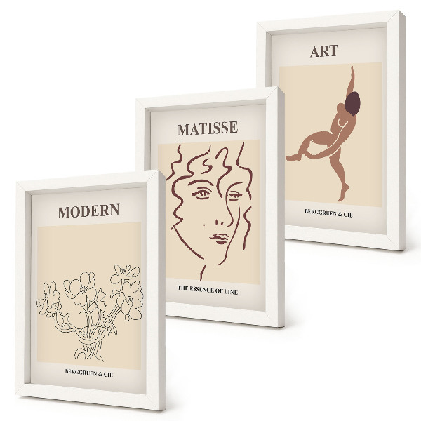 Juego de 3 cuadros decorativos Gráficos elegantes con flores, rostros y figuras humanas.