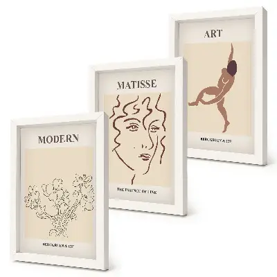 Juego de 3 cuadros decorativos con diseños elegantes de flores, rostros y figuras humanas