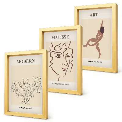 Juego de 3 cuadros decorativos con diseños elegantes de flores, rostros y figuras humanas
