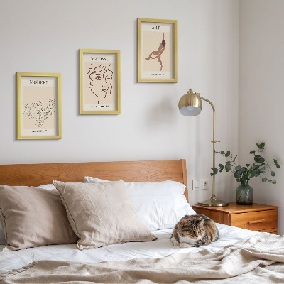 Juego de 3 cuadros decorativos Gráficos elegantes con flores, rostros y figuras humanas.