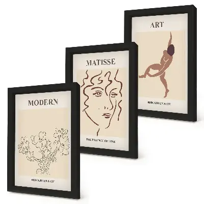 Juego de 3 cuadros decorativos con diseños elegantes de flores, rostros y figuras humanas