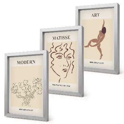 Juego de 3 cuadros decorativos con diseños elegantes de flores, rostros y figuras humanas